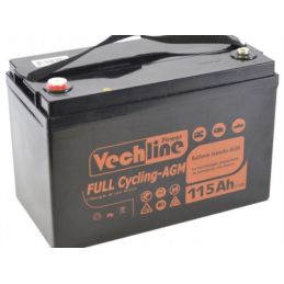 Bateria AGM 115 AH